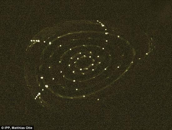 该系统初次测试时的图像，显示了荧光分支闭合的过程，使嵌套的磁场表面变得可见。